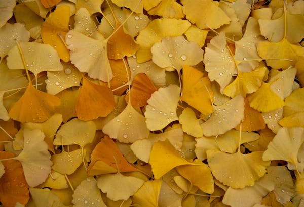 一次性與復(fù)用醫(yī)療用品的廢物產(chǎn)生量對(duì)比