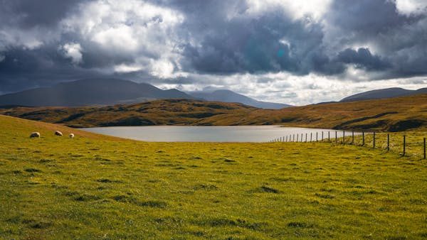 從全球視野看手術套件：國際合作與競爭的新格局